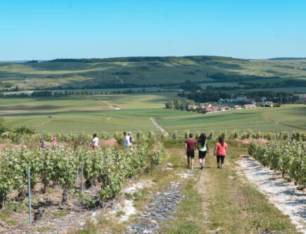 Wandern in der Champagne