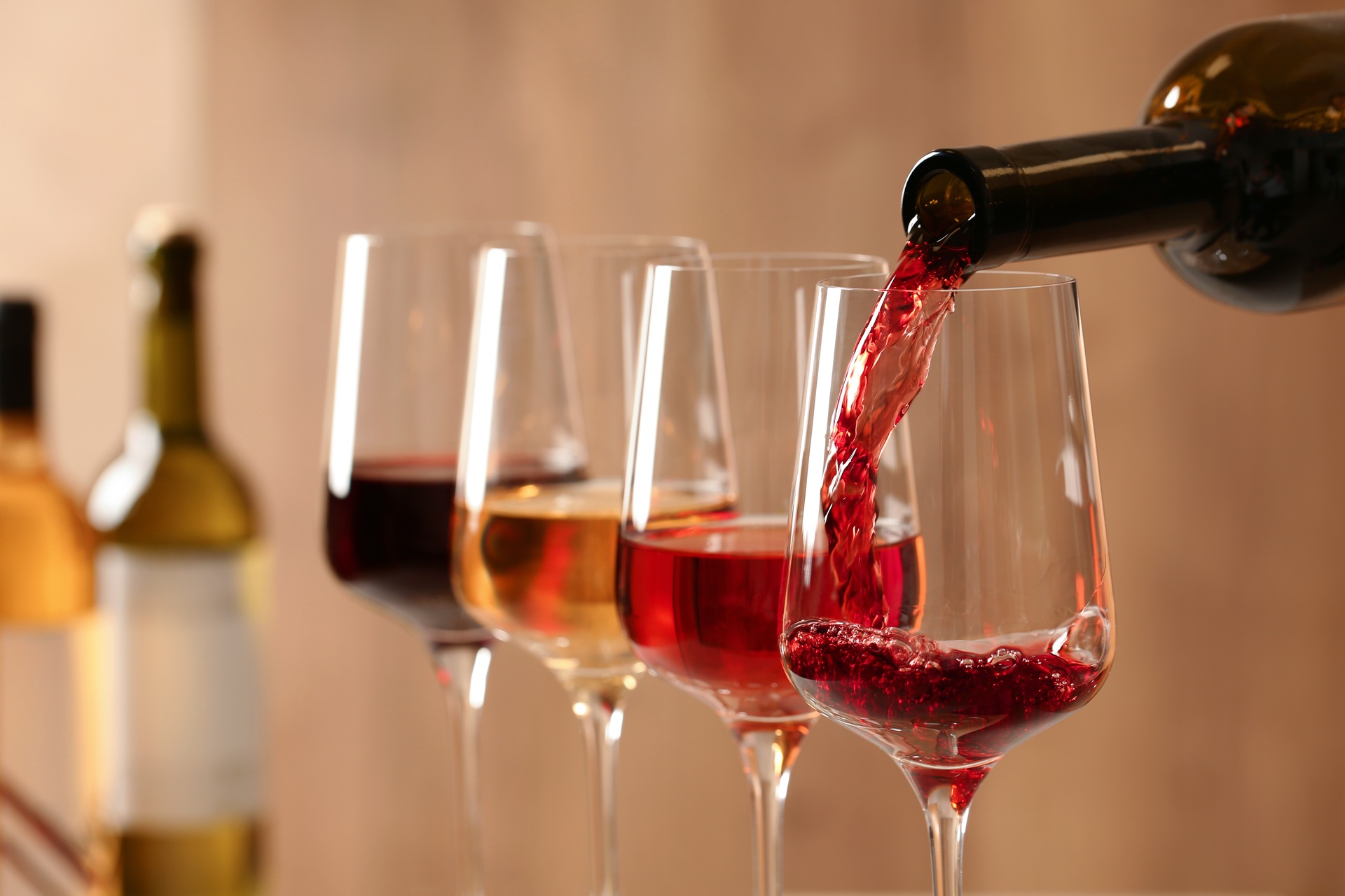 Franz Keller Weingut bei Rotweinverkostung