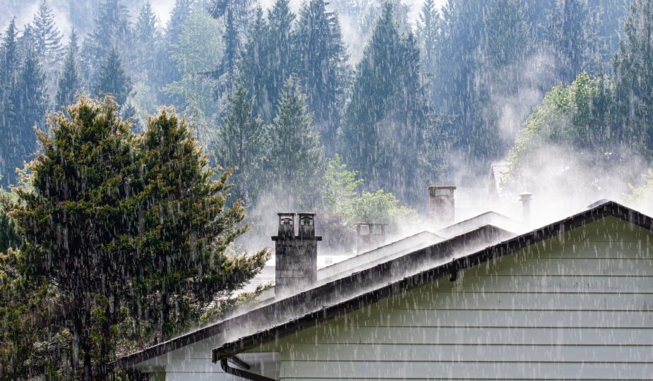 Trapezblech kaufen bei hoher Regenbelastung