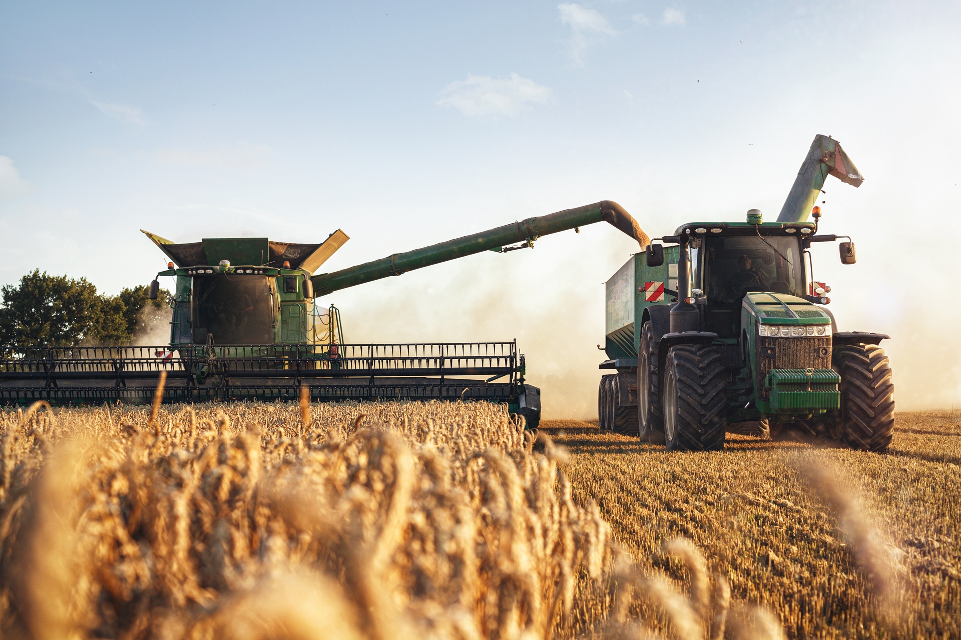 Mähdrescher lädt Getreide in Traktor | Suevia