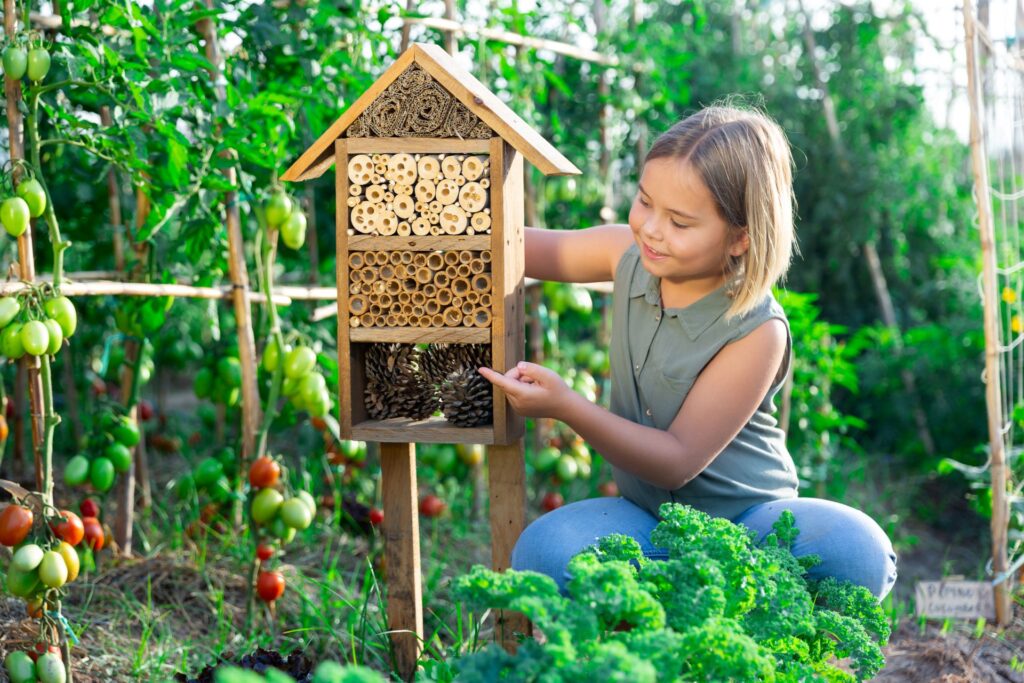 Kind stellt ein Insektenhotel im Gemuesegarten auf und foerdert die Biodiversitaet